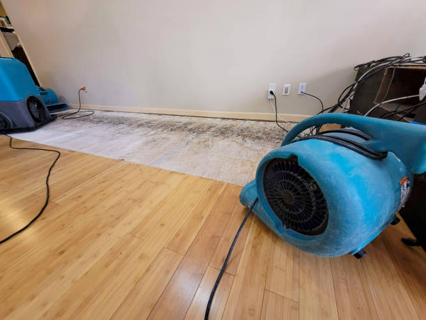 Reliable Flood Damage Restoration contractor in Springville, CA by Hirex Water Damage