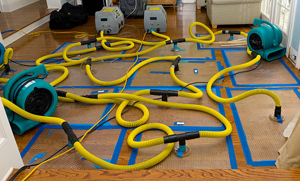Professional Flood Damage Restoration technician working in Springville, CA